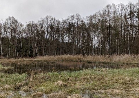 Pobieranie prób wody – okolice Wiśniowej Góry (gm. Andrespol)