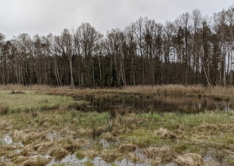 Pobieranie prób wody – okolice Wiśniowej Góry (gm. Andrespol)