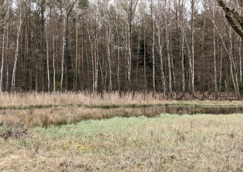 Pobieranie prób wody – okolice Wiśniowej Góry (gm. Andrespol)