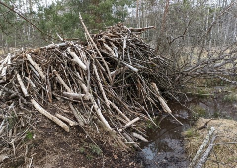 Pobieranie prób wody – okolice Wiśniowej Góry (gm. Andrespol)