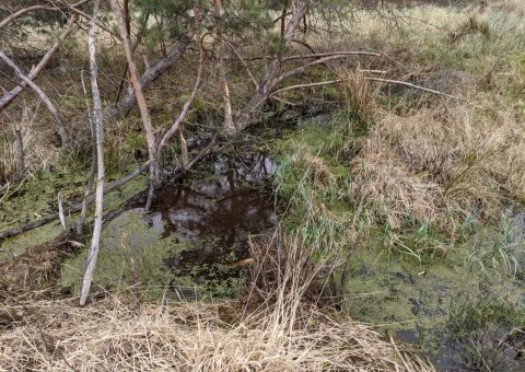 Pobieranie prób wody – okolice Wiśniowej Góry (gm. Andrespol)