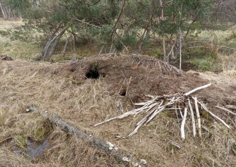 Pobieranie prób wody – okolice Wiśniowej Góry (gm. Andrespol)