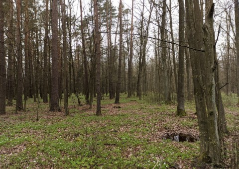 Pobieranie prób wody – okolice Wiączynia (gm. Nowosolna)