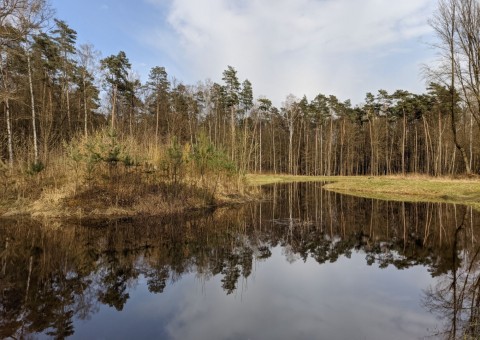 Pobieranie prób wody – okolice Wiączynia (gm. Nowosolna)