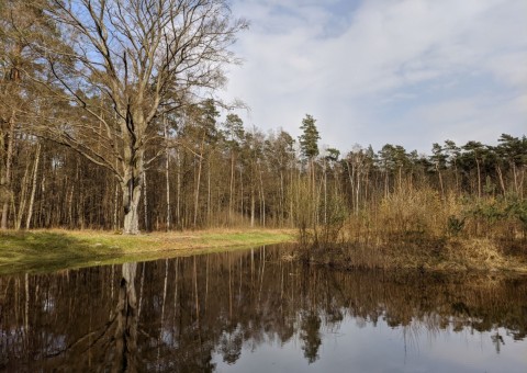 Pobieranie prób wody – okolice Wiączynia (gm. Nowosolna)