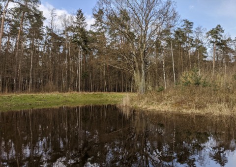 Pobieranie prób wody – okolice Wiączynia (gm. Nowosolna)