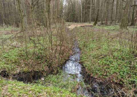 Pobieranie prób wody – okolice Wiączynia (gm. Nowosolna)