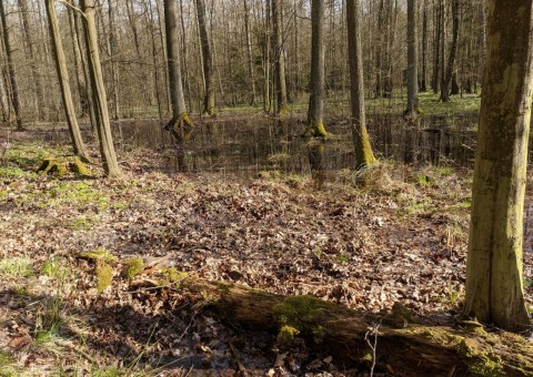 Pobieranie prób wody – okolice Wiączynia (gm. Nowosolna)