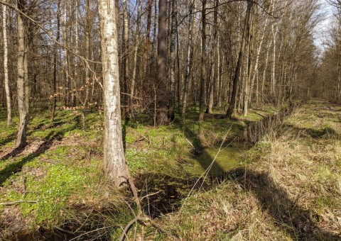 Pobieranie prób wody – okolice Wiączynia (gm. Nowosolna)