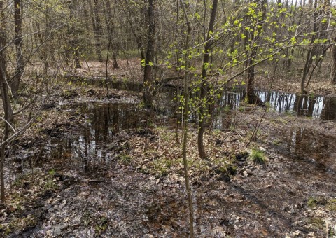 Pobieranie prób wody – okolice Ustronia (gm. Aleksandrów Łódzki)