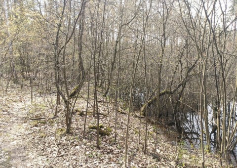 Pobieranie prób wody – okolice Ustronia (gm. Aleksandrów Łódzki)