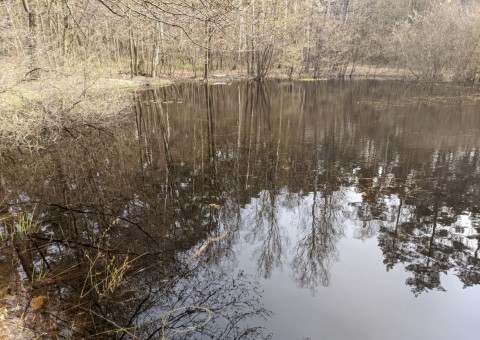 Pobieranie prób wody – okolice Ustronia (gm. Aleksandrów Łódzki)