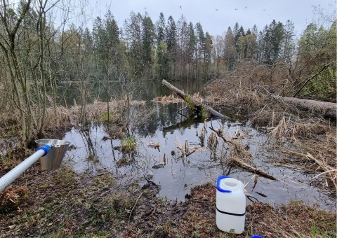 Pobieranie prób wody – Tjernsrudtjernet, Oslo