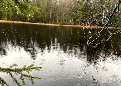 Pobieranie prób wody – Sognsvannputten, Oslo