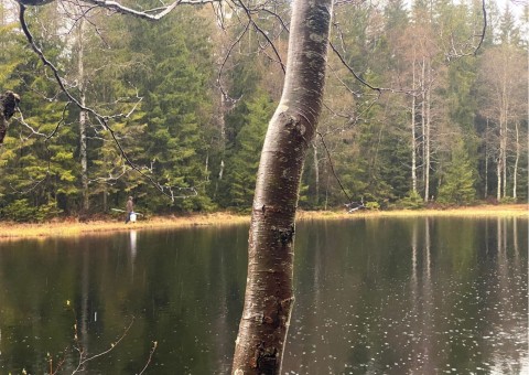 Pobieranie prób wody – Sognsvannputten, Oslo