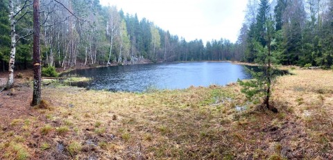 Pobieranie prób wody – Sognsvannputten, Oslo