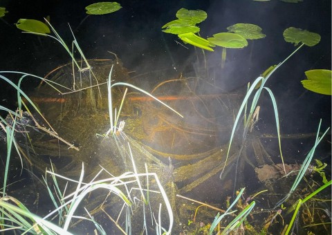 Pobieranie prób wody – Sognsvannputten, Oslo