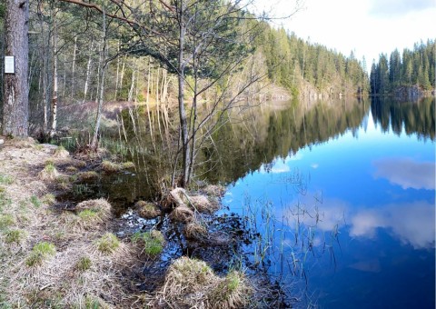 Pobieranie prób wody – Svartputten, Oslo