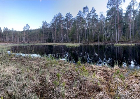 Pobieranie prób wody – Svartputten, Oslo