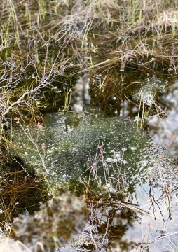 Pobieranie prób wody – Svartputten, Oslo