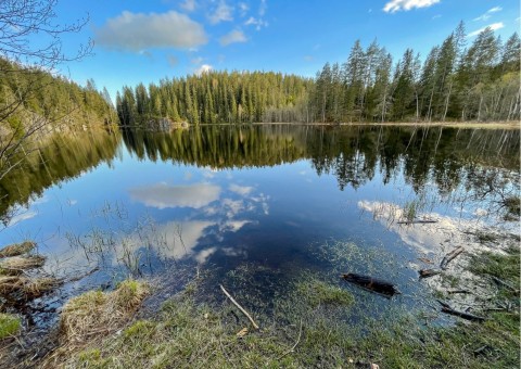 Pobieranie prób wody – Svartputten, Oslo
