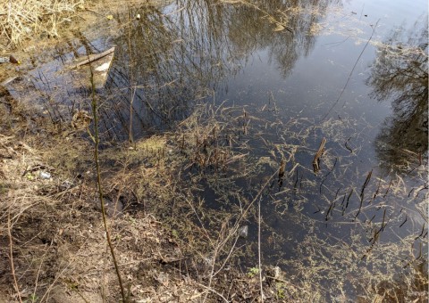 Pobieranie prób wody – Zakrzówek, Kraków