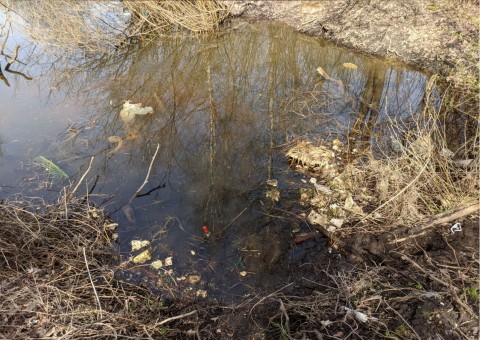 Pobieranie prób wody – Zakrzówek, Kraków