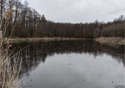Pobieranie prób wody – Puszcza Niepołomicka