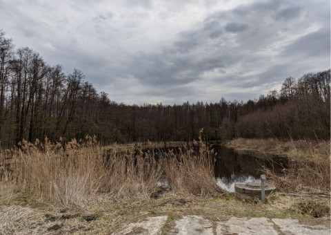 Pobieranie prób wody – Puszcza Niepołomicka
