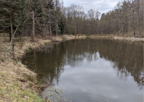 Pobieranie prób wody – okolice Bochni