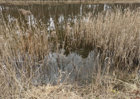 Pobieranie prób wody – Błoto, Niepołomice