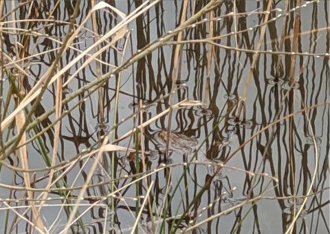 Pobieranie prób wody – Błoto, Niepołomice