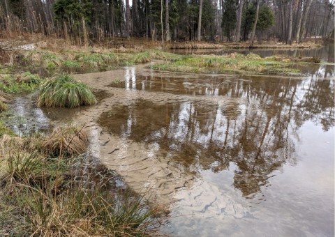 Pobieranie prób wody – Niedźwiedzia Góra, Tenczynek (gm. Krzeszowice)