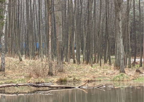 Pobieranie prób wody – Niedźwiedzia Góra, Tenczynek (gm. Krzeszowice)