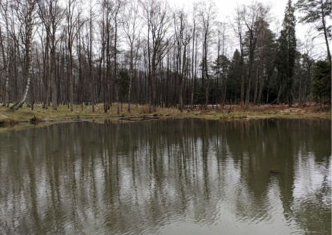 Pobieranie prób wody – Niedźwiedzia Góra, Tenczynek (gm. Krzeszowice)