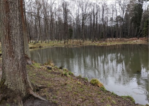 Pobieranie prób wody – Niedźwiedzia Góra, Tenczynek (gm. Krzeszowice)