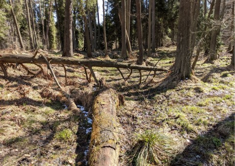 Pobieranie prób wody – Niedźwiedzia Góra, Tenczynek (gm. Krzeszowice)