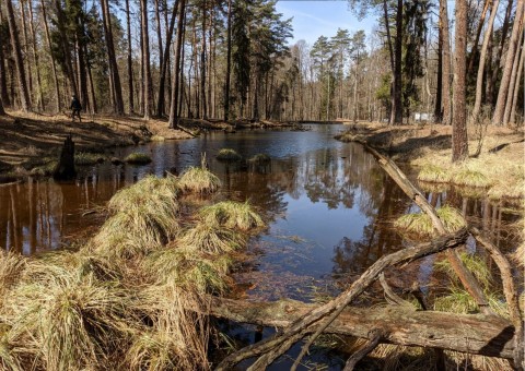 Pobieranie prób wody – Niedźwiedzia Góra, Tenczynek (gm. Krzeszowice)