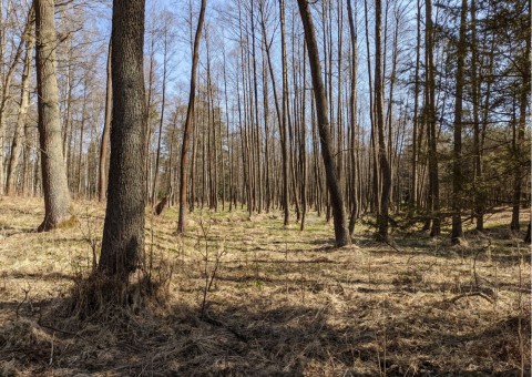Pobieranie prób wody – Niedźwiedzia Góra, Tenczynek (gm. Krzeszowice)