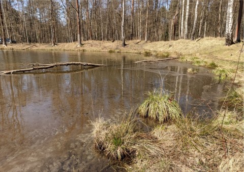Pobieranie prób wody – Niedźwiedzia Góra, Tenczynek (gm. Krzeszowice)