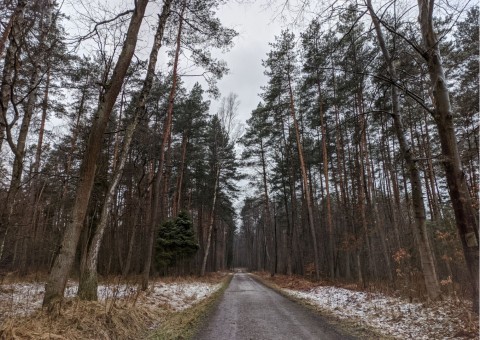 Pobieranie prób wody – Niedźwiedzia Góra, Tenczynek (gm. Krzeszowice)