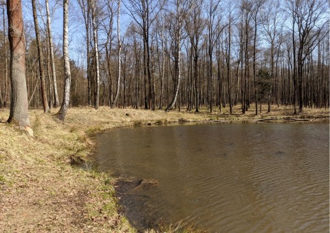 Pobieranie prób wody – Niedźwiedzia Góra, Tenczynek (gm. Krzeszowice)