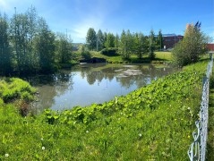 Ringve Botanical Garden, Trondheim – pobór prób wody