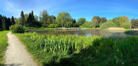 Pobieranie prób wody – Ringve Botanical Garden, Trondheim