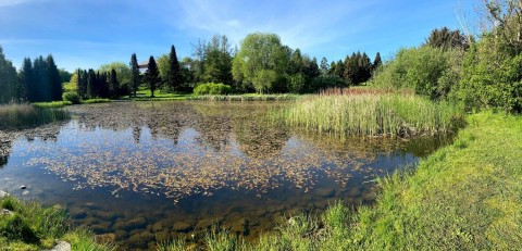 Pobieranie prób wody – Ringve Botanical Garden, Trondheim