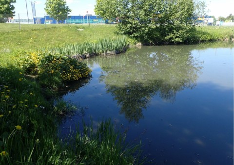 Pobieranie prób wody – Leangen, Landbruksvegen, Trondheim