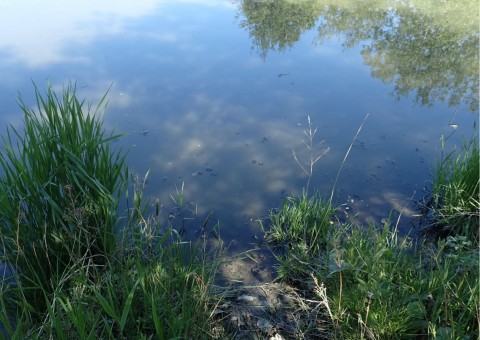 Pobieranie prób wody – Leangen, Landbruksvegen, Trondheim