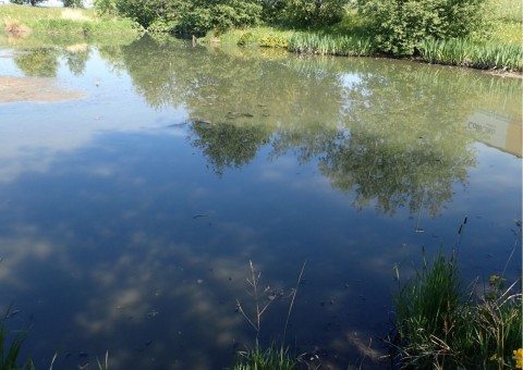 Pobieranie prób wody – Leangen, Landbruksvegen, Trondheim