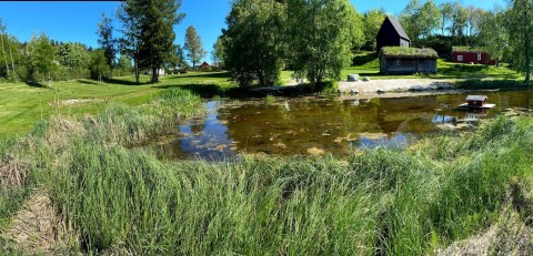 Pobieranie prób wody – Sverresborg Allé, Trondheim