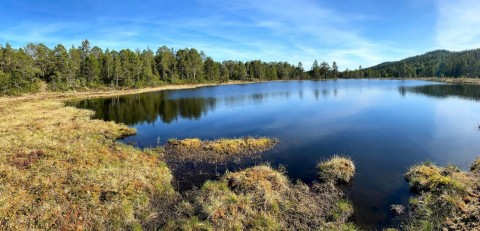 Pobieranie prób wody – Austlitjønna, Trondheim